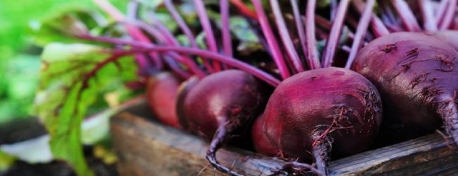 NPQS to probe imported Beetroot in local market