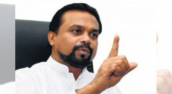 Cannot expect rating agencies to hold SL in high regard: Wimal