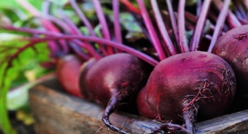NPQS to probe imported Beetroot in local market