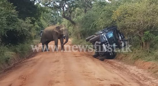 Mobile patrols inside Yala to prevent skirmishes with wild elephants