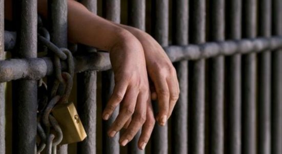 Three nabbed for fake PCRs, remanded