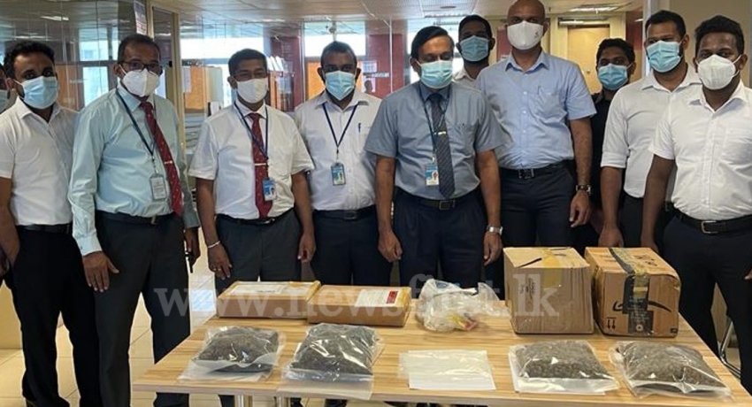 Rs. 19 Mn worth drugs detected from overseas parcels
