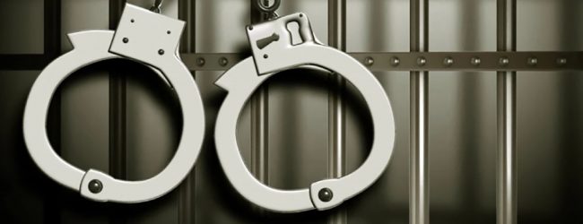 Four organized criminals apprehended by Police