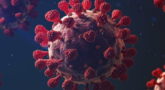 35% spike in COVID-19 cases reported in Sri Lanka
