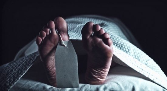 Dutch woman found dead in Wellawatte apartment