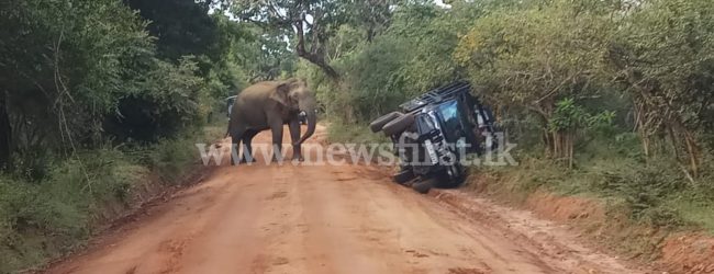 Mobile patrols inside Yala to prevent skirmishes with wild elephants