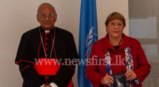 Cardinal meets UN Human Rights Chief in Geneva