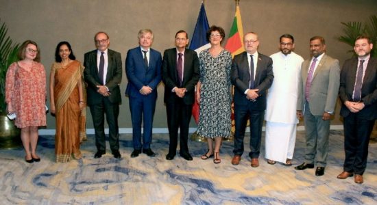 French markets to be expanded for SL products