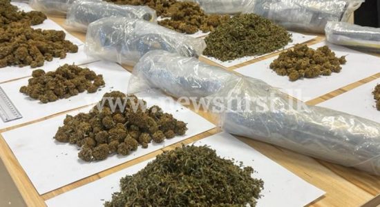 Customs seizes 13 parcels with drugs worth Rs. 12 Mn