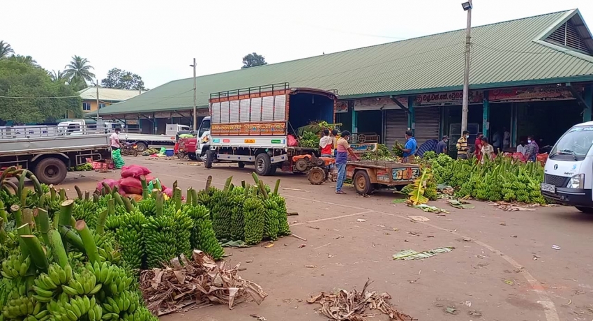 Vegetable prices fall by 50% due to fuel shortage in Thambuththegama
