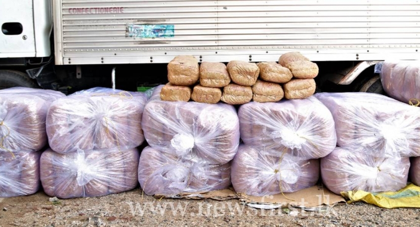 STF apprehends three with 560kg of KG from India
