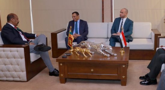 Egyptian Ambassador meets Defence Secretary