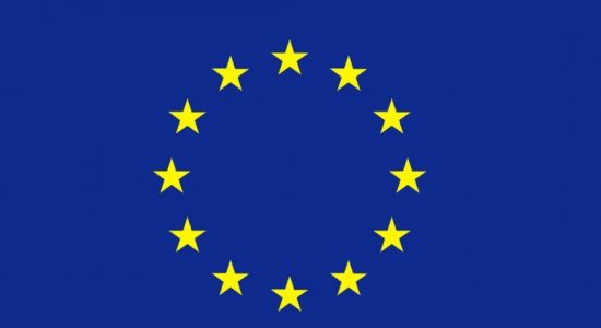EU delegates call SL to condemn Russian invasion