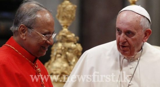 Cardinal meets His Holiness the Pope at the Vatican