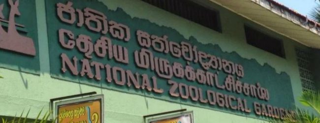 Thilak Premakantha appointed new Director General of National Zoological Gardens