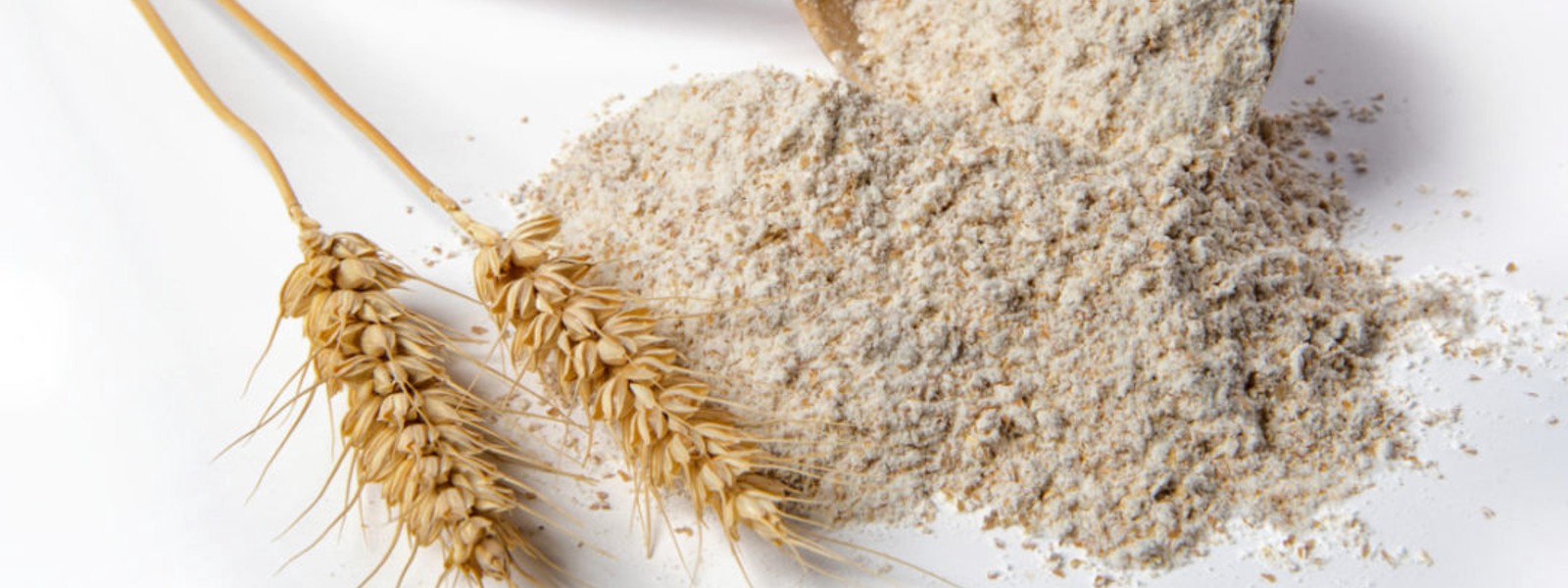 Wheat Flour prices increased