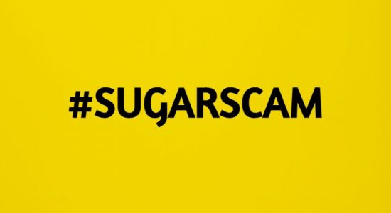 Sugar Scam: Recover loss of Rs. 16b from importer