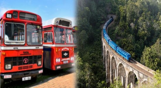 Special Transport Service for Holidays
