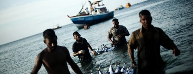 Fuel shortage affects the fisheries industry
