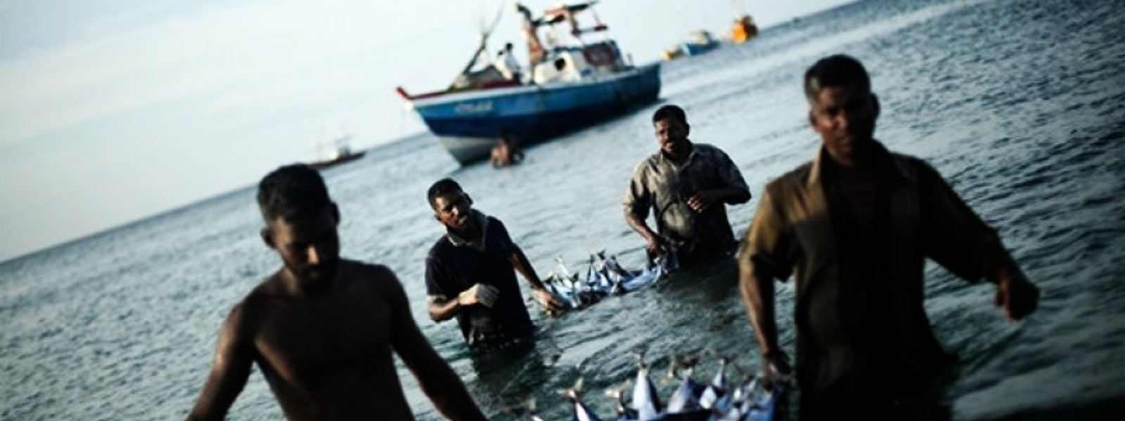 Electric motor boats for Sri Lankan fishermen
