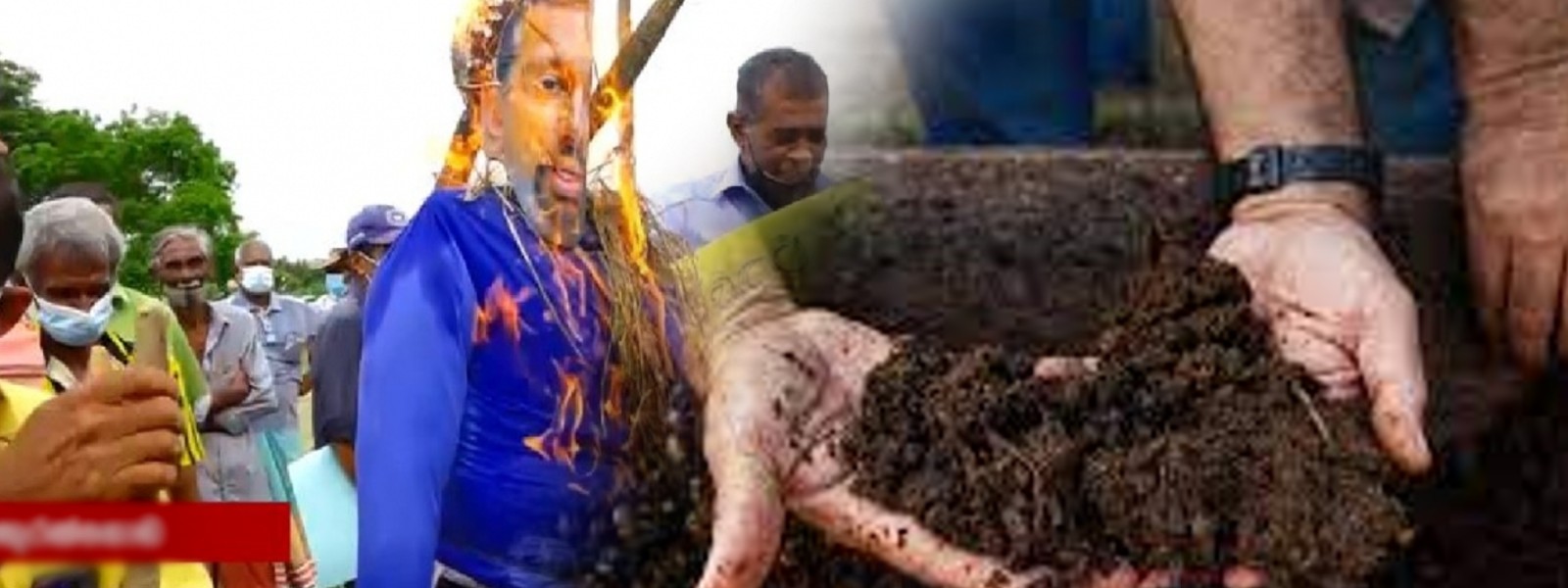 How a fertilizer ban became a part of Sri Lanka’s Crisis