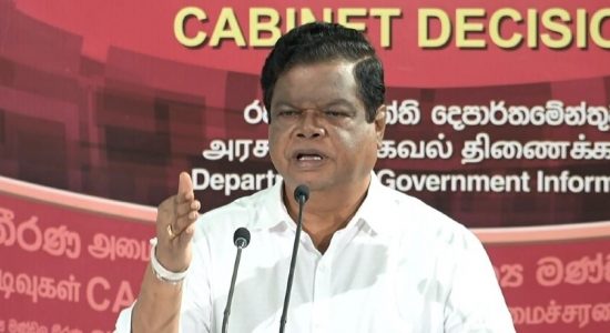 This is not a pro-Rajapaksa Government: Bandula