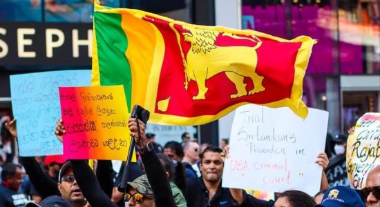 (PICTURES) USA-wide protests in solidarity with Sri Lankan protestors