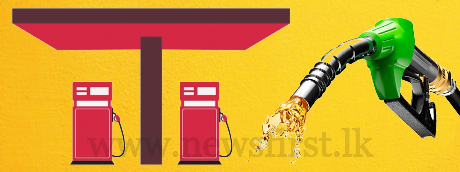Petrol & Diesel can be sold for Rs. 250/- ; PUCSL Chief tells COPE