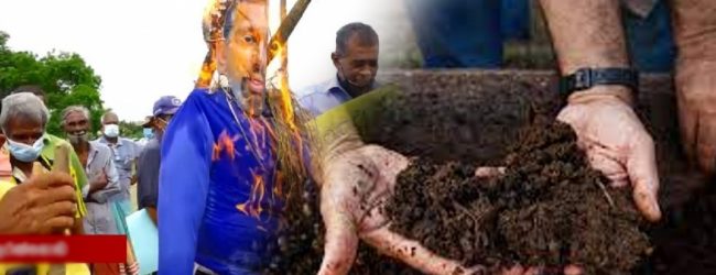 How a fertilizer ban became a part of Sri Lanka’s Crisis