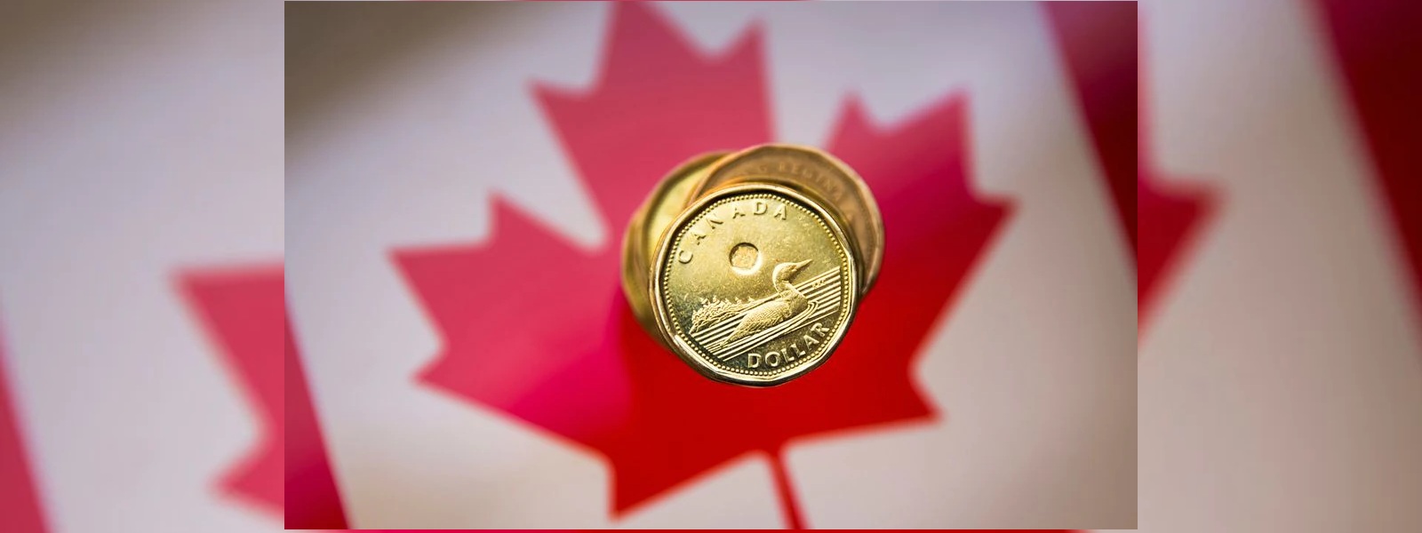 Canadian dollar seen rebounding as high oil price feeds trade surplus
