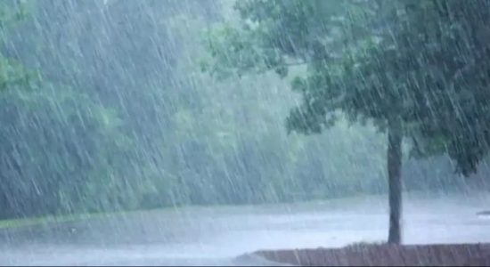 Fairly heavy showers above 75mm expected: Met Department