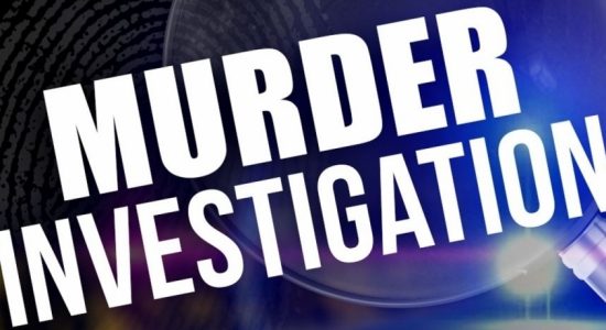 Two men hacked to death in Eppawala double homicide