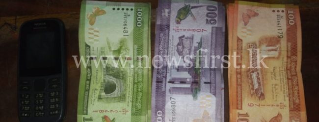 Ragama resident arrested with ICE from Walpola