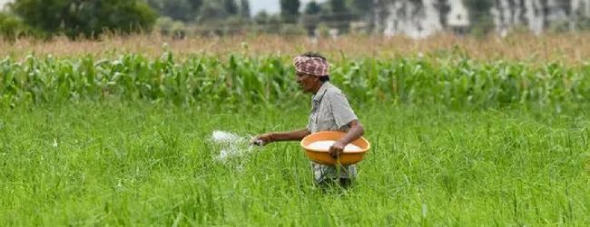 Cabinet nod for USD 55 Mn loan from India for Urea Fertilizer