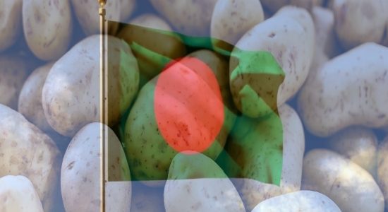 Bangladesh to consider sending potatoes to Sri Lanka