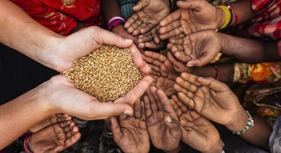 Sri Lanka will experience further deterioration of food security – UN FAO Report