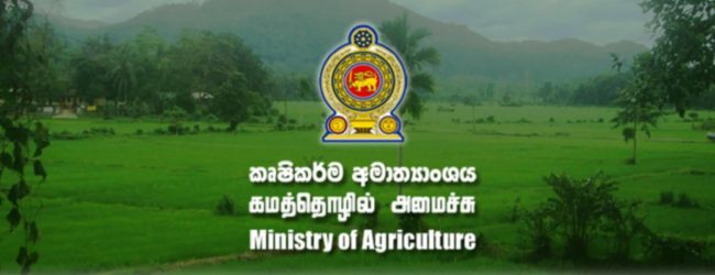 Leave of Agri Ministry employees cancelled to distribute fertilizer