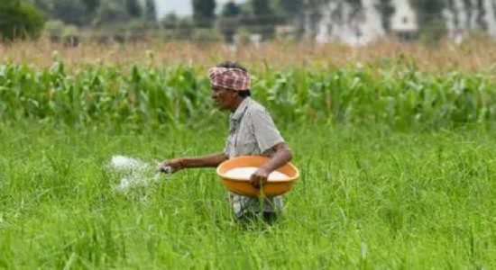 Cabinet nod for USD 55 Mn loan from India for Urea Fertilizer