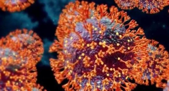 Over 100 cases & 5 deaths reported due to COVID-19