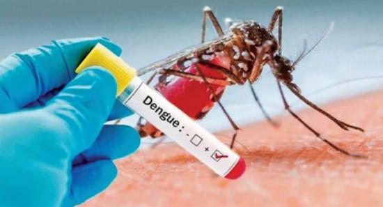 Over 1,500 Dengue cases reported last week
