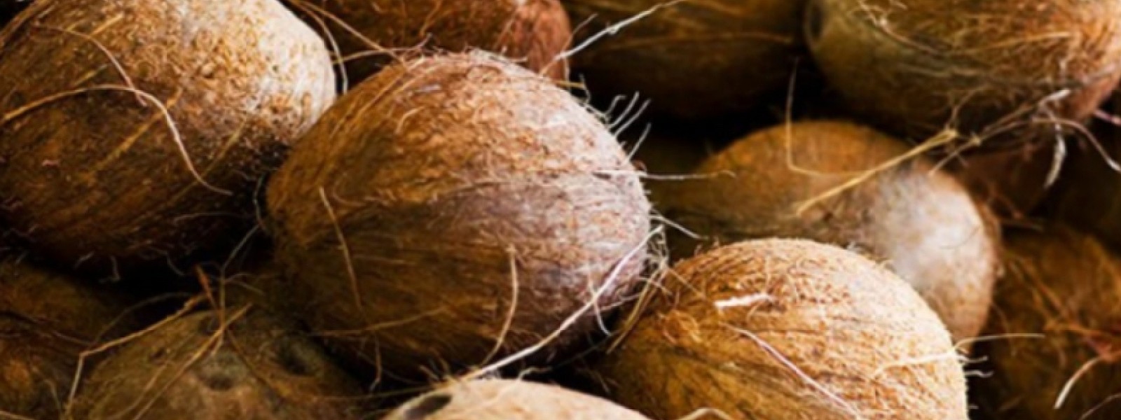 Suspended sentence for stealing coconuts in 2021