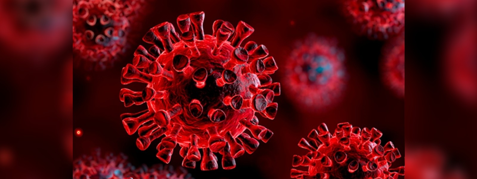 COVID-19: Six deaths, 164 cases reported