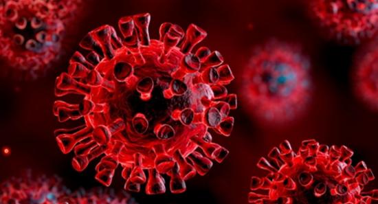 COVID-19: Six deaths, 164 cases reported