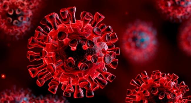 COVID-19: Six deaths, 164 cases reported