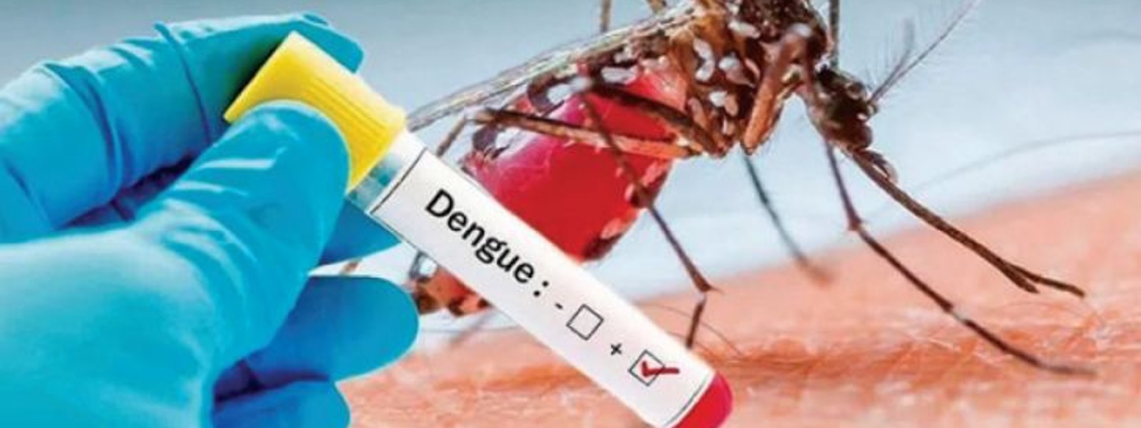 Dengue on the rise