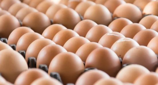Egg prices reduced from Monday (22)