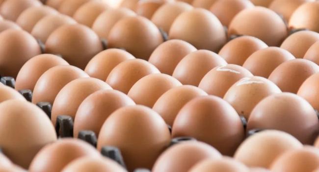 Egg prices reduced from Monday (22)
