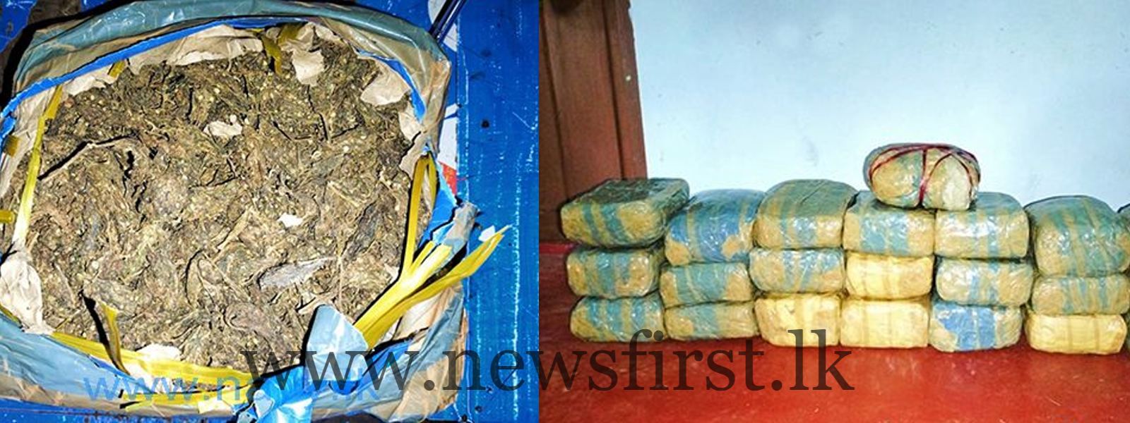 Kerala cannabis worth Rs 15 Mn seized