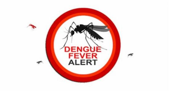 Rising Dengue risk: Over 2,700 premises identified