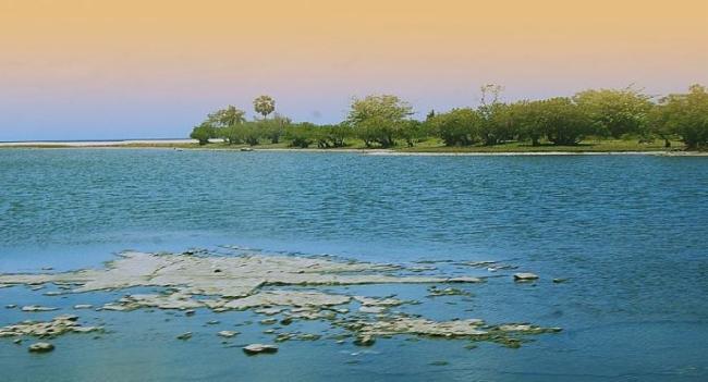 Three lagoons to be made Conservation Zones